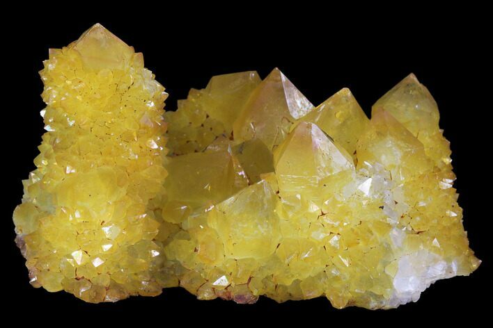 Sunshine Cactus Quartz Crystal - South Africa #96263